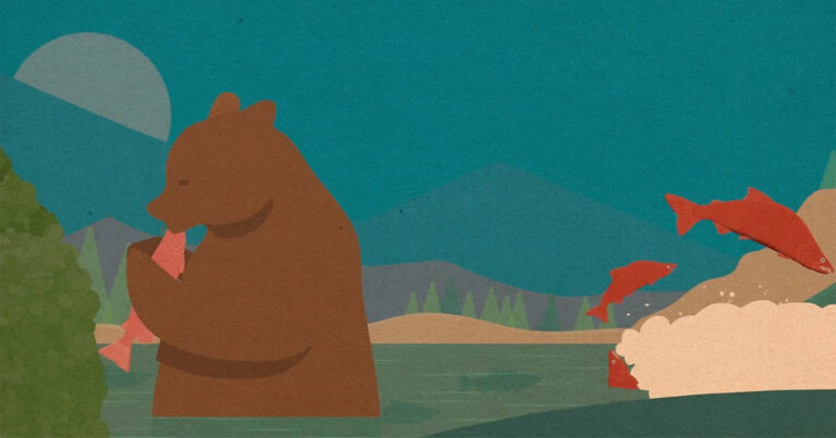 Bear in a river eating a salmon.