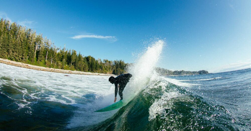 Surfer surfing on a sunny day with trees in the background.