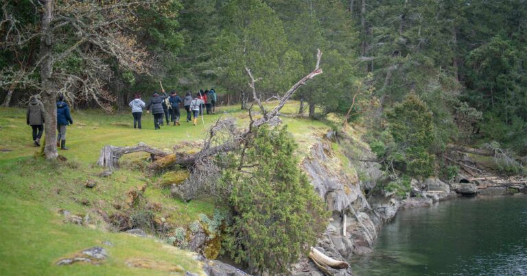 A group of youth walking along a hill.