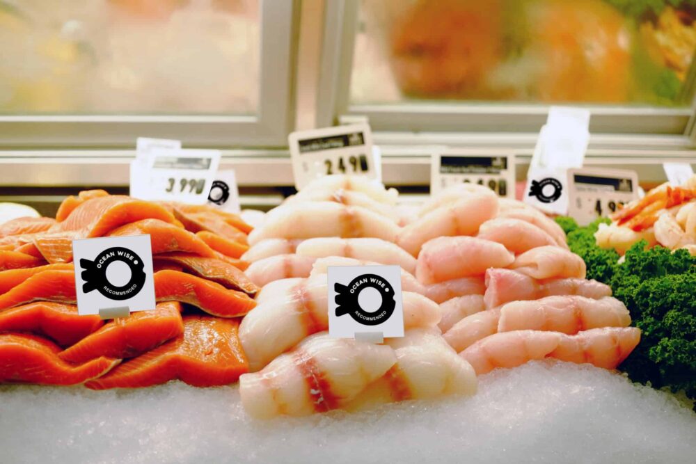 Summary of key facts about southeast Alaska interception fisheries