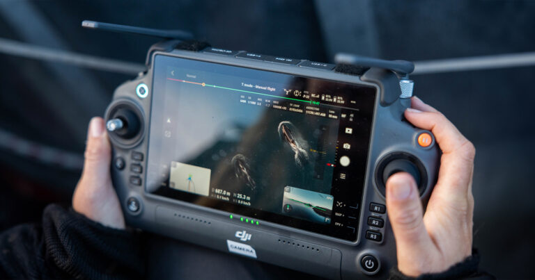 Hands holding a DJI drone controller with killer whales on the screen.