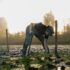 A crew members works in the Fraser River Estuary preparing a small marsh.