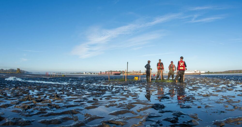 A crew stands in the Fraser River Estuary planning their next move.