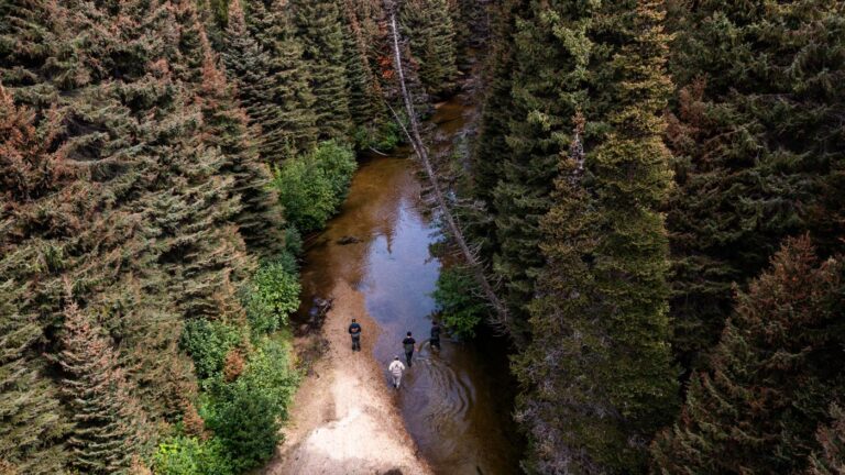 Aerial view of the Upper Coldwater River.