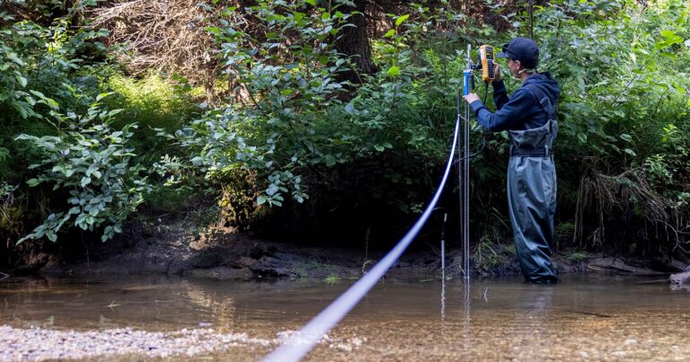 nłeʔképmx (NLX) Guardian Bret Spahan measuring water velocity at a site in the Upper Coldwater River.