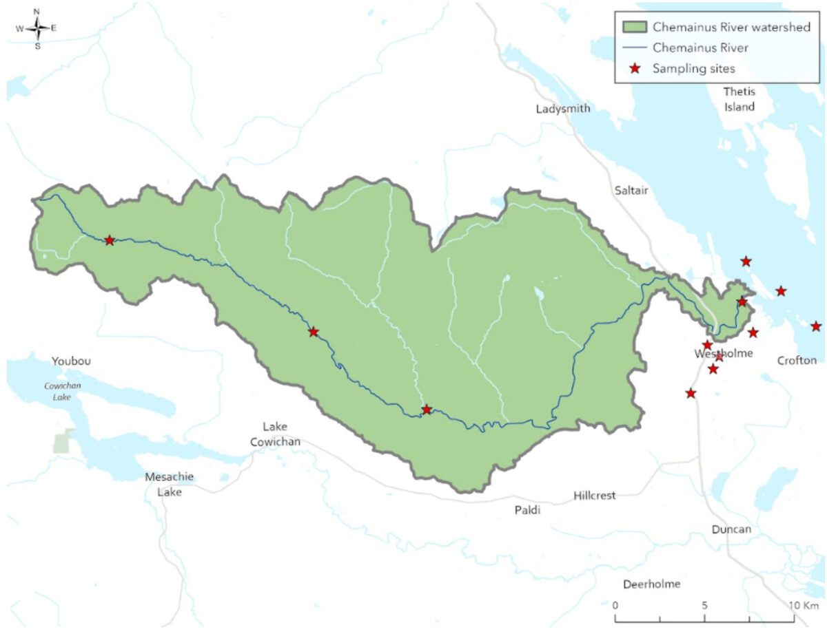 Cheminus Chemainus River watershed: Water quality report for the 2023/24 wet ...