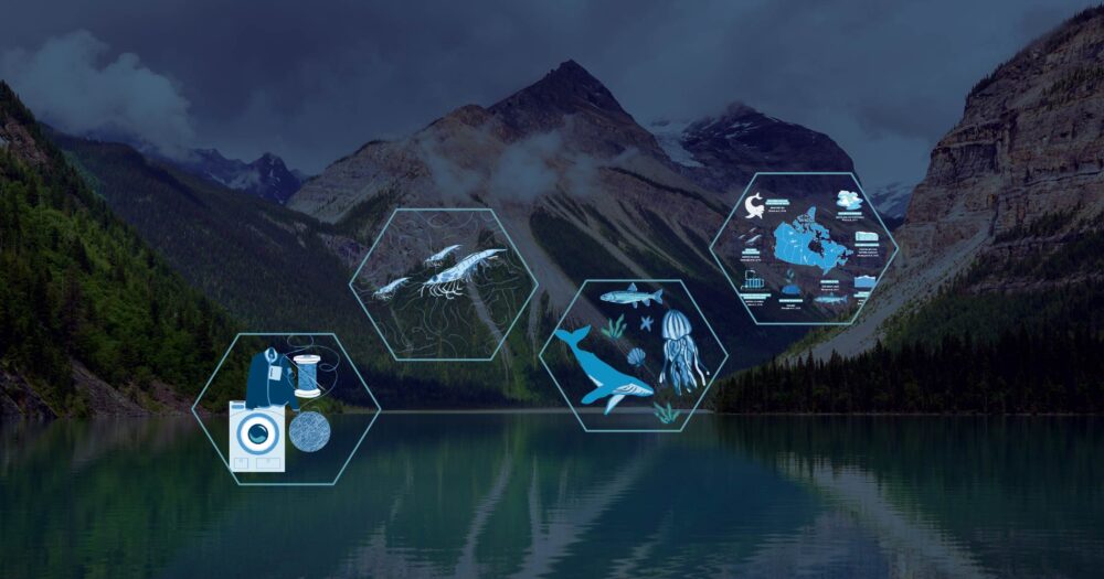 Hexagons filled with whales and other illustrated marine animals as well as maps and machinery lay on top of a beautiful Rocky Mountain lake scene.