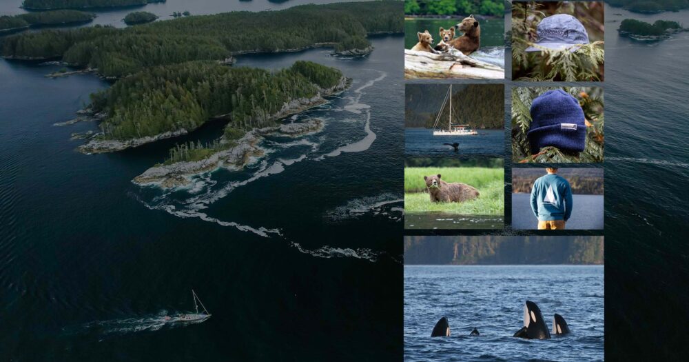 A photographic montage of stunning vistas, cool merchandise, and beautiful mammals.