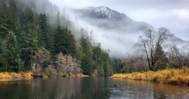 A rainy foggy scene unfolds along a river, as seen from a canoe, with green coniferous forest and brown grass trailing off through the mountains.