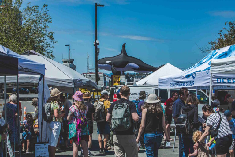Some of the many booths and activities at the Ocean Week Victoria festival at Fisherman’s Wharf.