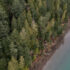An aerial shot of Kingfisher forest, showing tall Douglas Fir trees touching a blue shoreline.