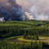 A vast green forest of towering trees, the sky filled with smoke.
