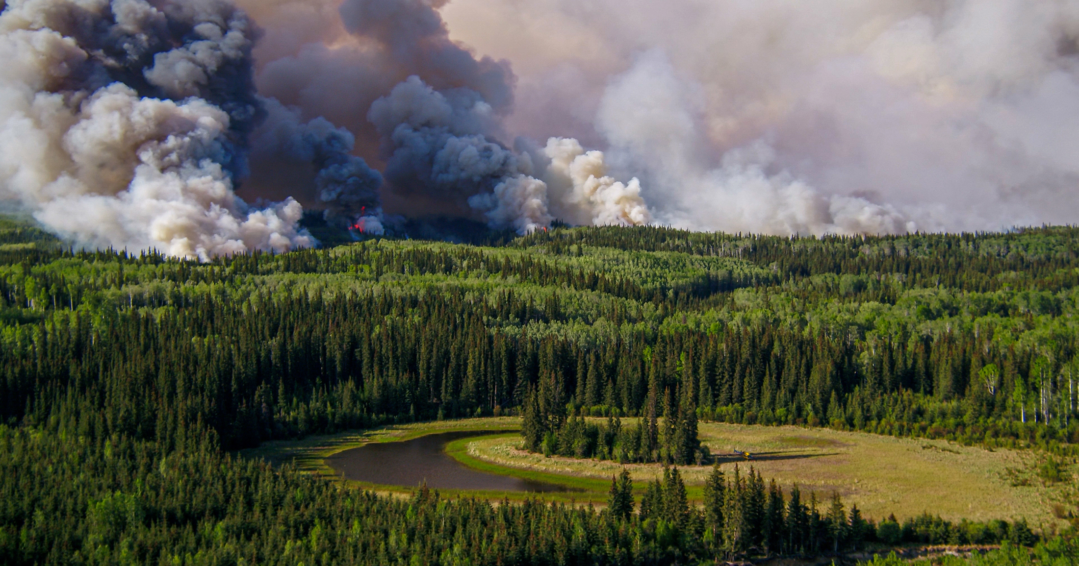 A vast green forest of towering trees, the sky filled with smoke.