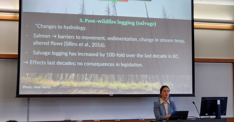 Kristen stands in front of a podium with a microphone presenting a power-point that reads "Post wildfire logging"