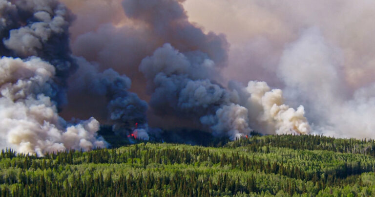 Grey, dark blue, and pale orange smoke stretches out from a wide treeline.
