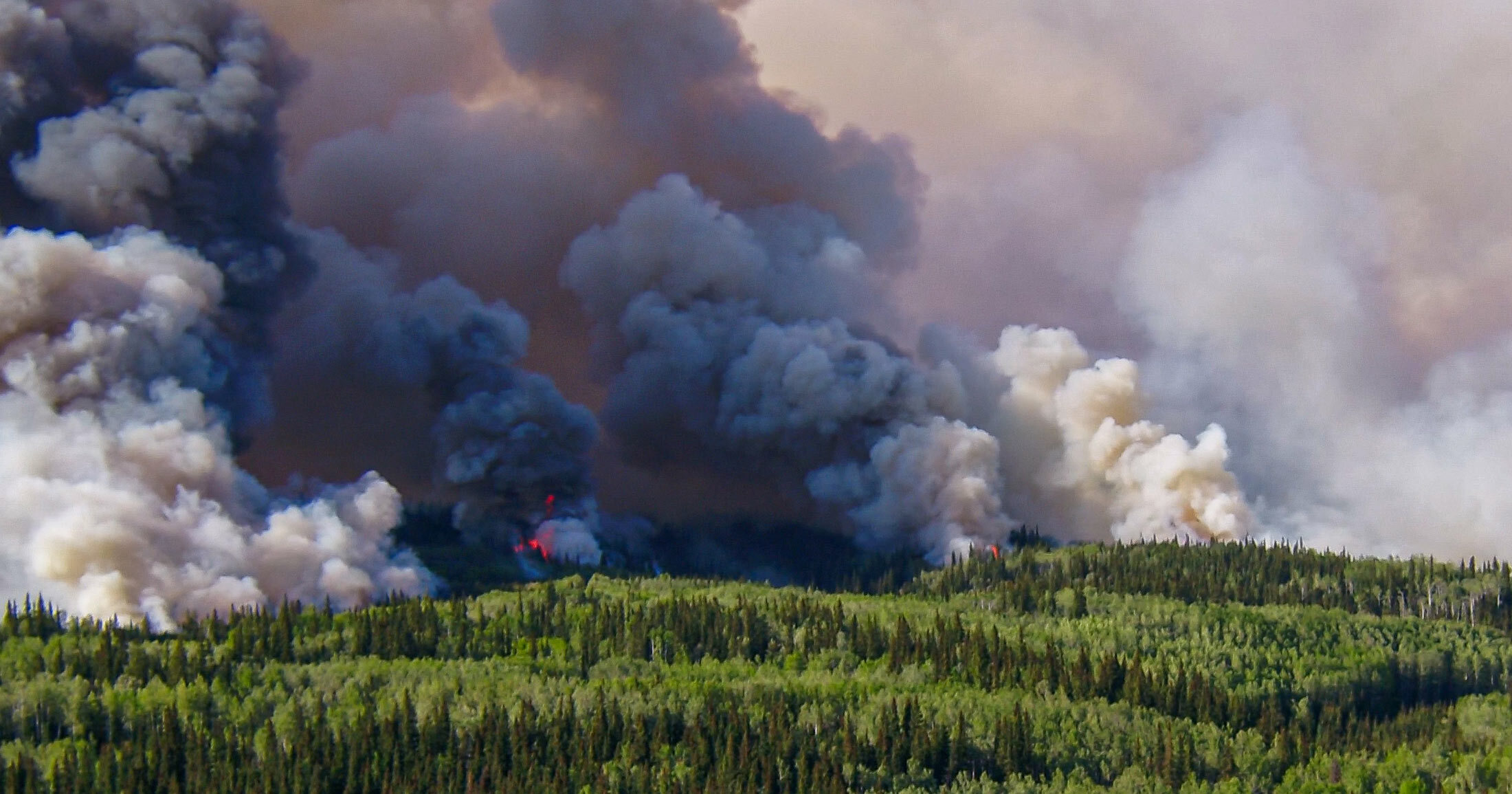 Grey, dark blue, and pale orange smoke stretches out from a wide treeline.