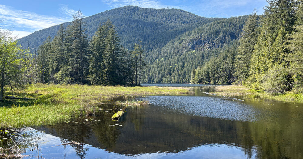 Grafton Lake on a sunny day, tree covered mountains reflected on the surface with a clear blue sky.