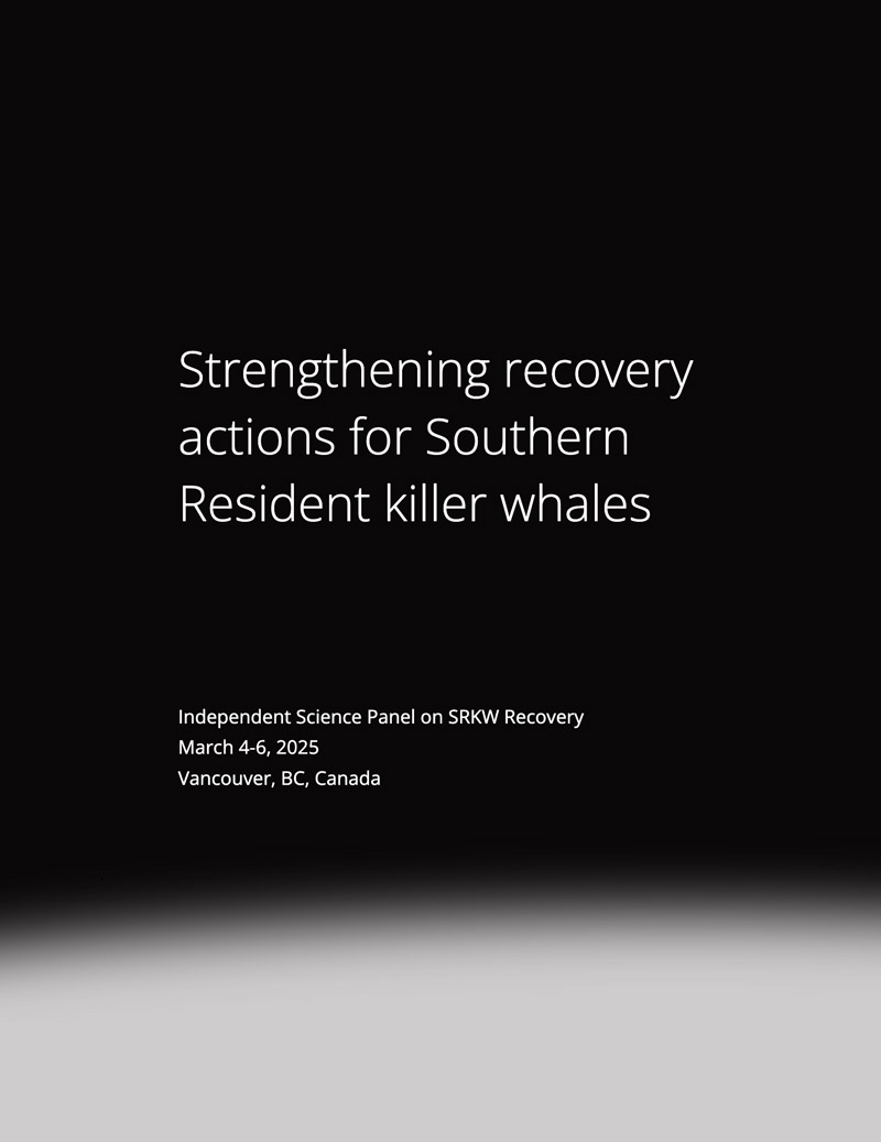 Report cover in black and white: Edit | Quick Edit | Trash | Preview | Duplicate Page Strengthening recovery actions for Southern Resident killer whales.