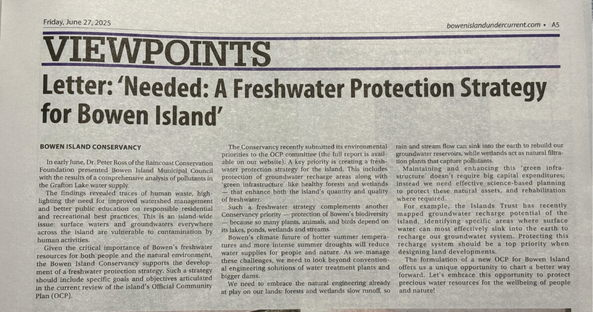 An excerpt from the printed newspaper titled "Viewpoints".