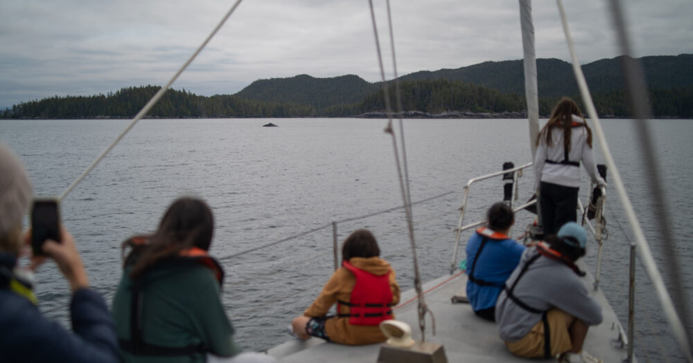 A group of youth gather at the bow of a sailboat and admire the dorsal fin of a whale in the distance.