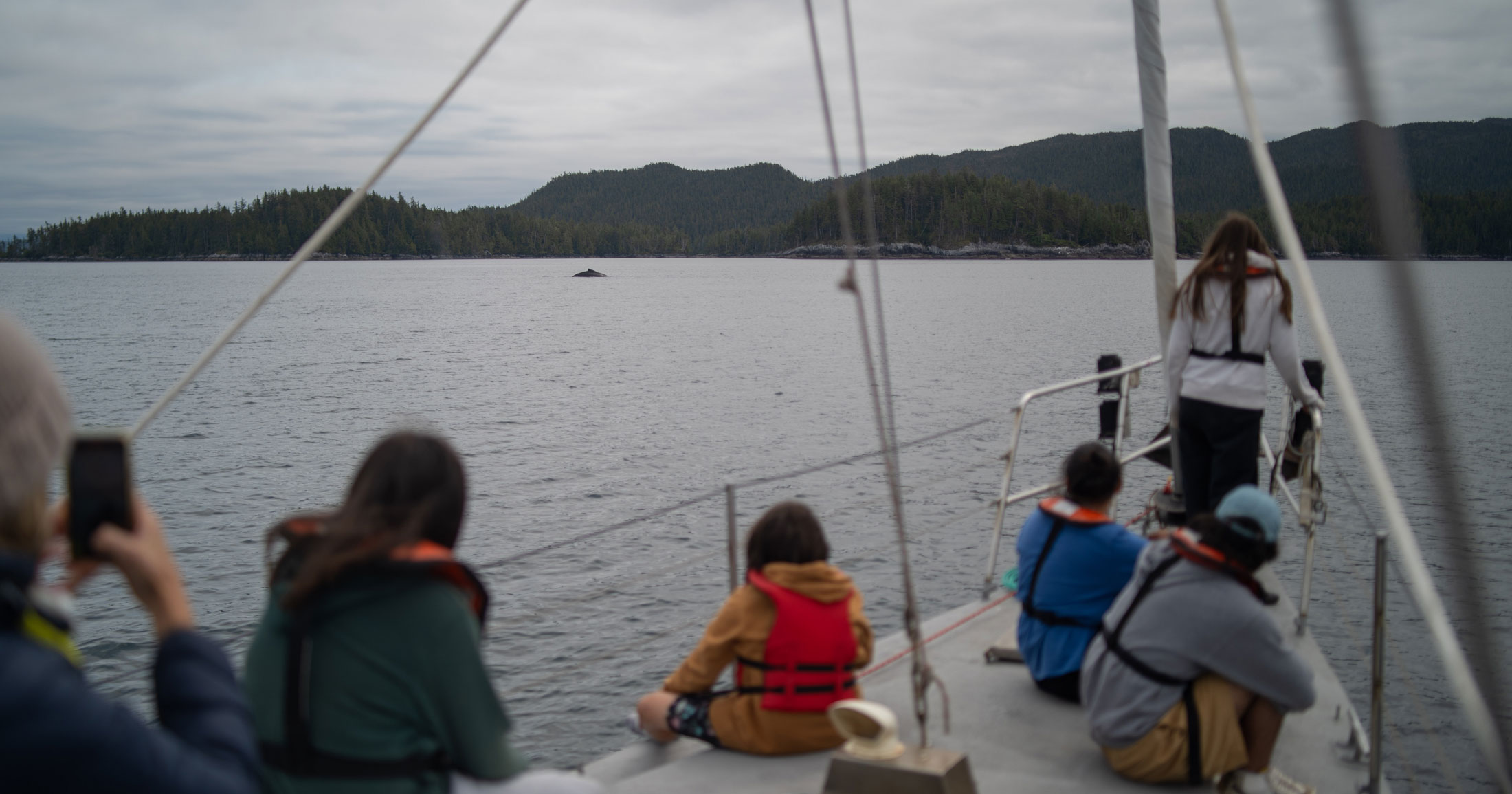 A group of youth gather at the bow of a sailboat and admire the dorsal fin of a whale in the distance.