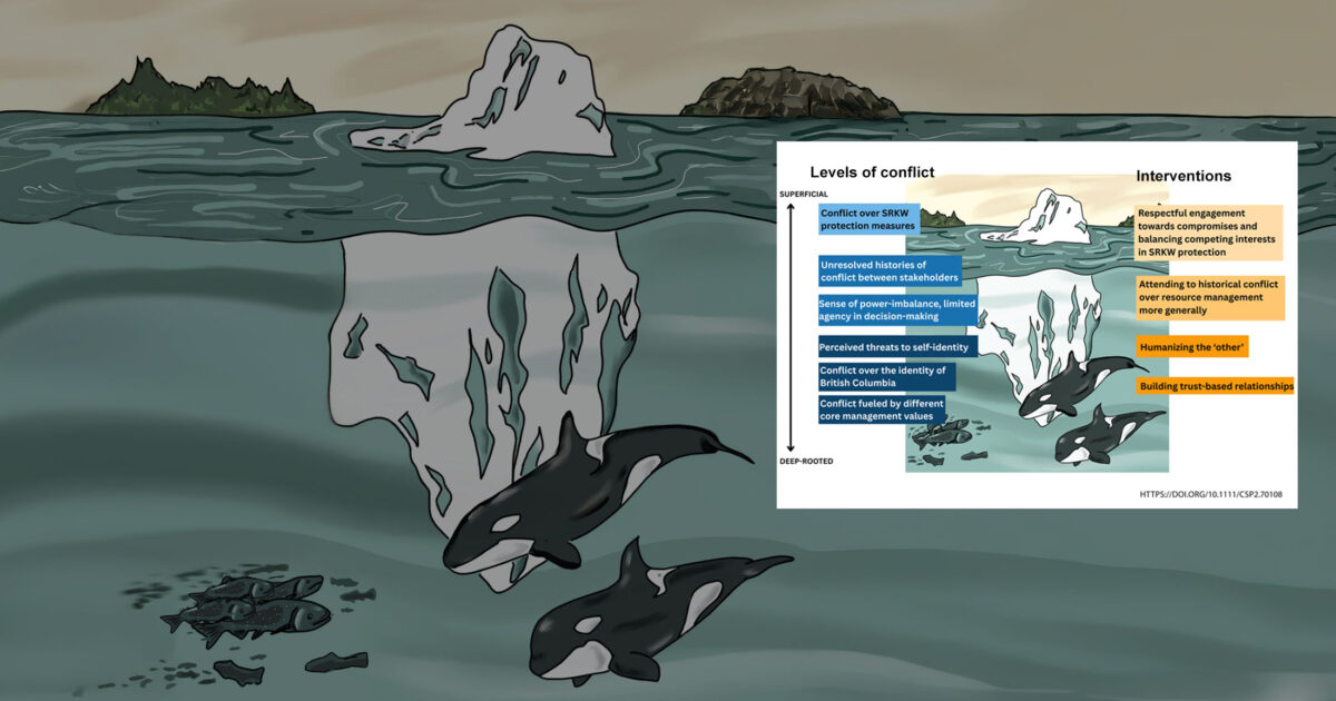 Illustration of killer whales and salmon and a figure in the foreground.
