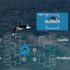 Drawings of killer whales rest on top of a championship runnoff diagram, on top of ocean water.