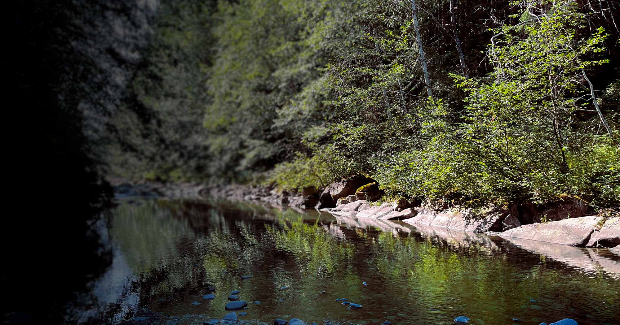 A water quality sampling site on the Chemainus River during the 2024 dry season sampling.