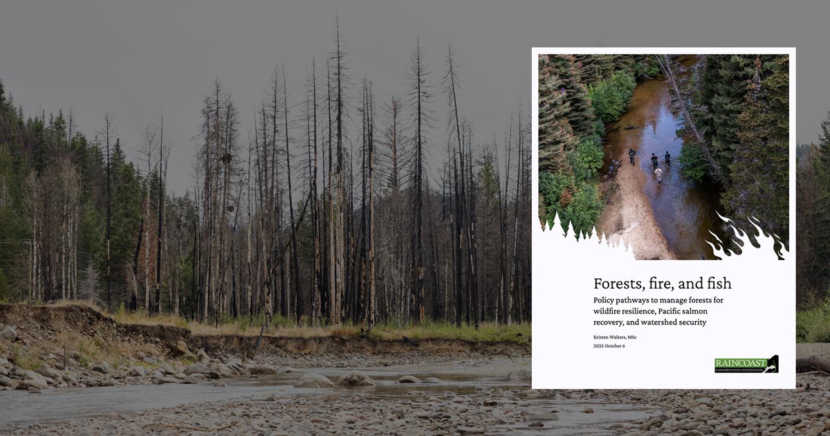 Forests, fire, and fish: Policy pathways to manage forests for wildfire resilience, salmon recovery, and watershed security.