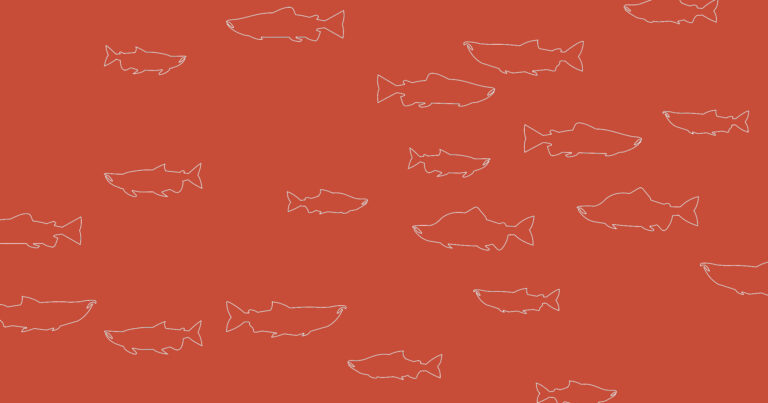Introducing More than a fish