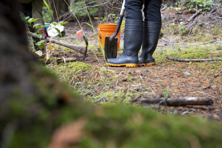 Engaging the next generation of land healing stewards