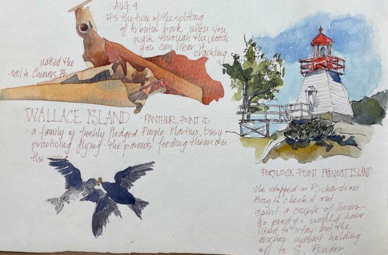 Sketch and water colour of birds and a lighthouse by Alison Watt.