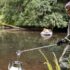 A scientist stands in field clothes by a stream, seen through foliage as he collects a water sample by using a long silver rod that has a cup on the end. He collects water from the stream and dumps it into a large silver jug.