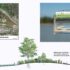 Restored marsh on Sea Island: wetland habitat is deepened to promote growth of Lyngby's Sedge and fish utilize off-channel marsh habitats.