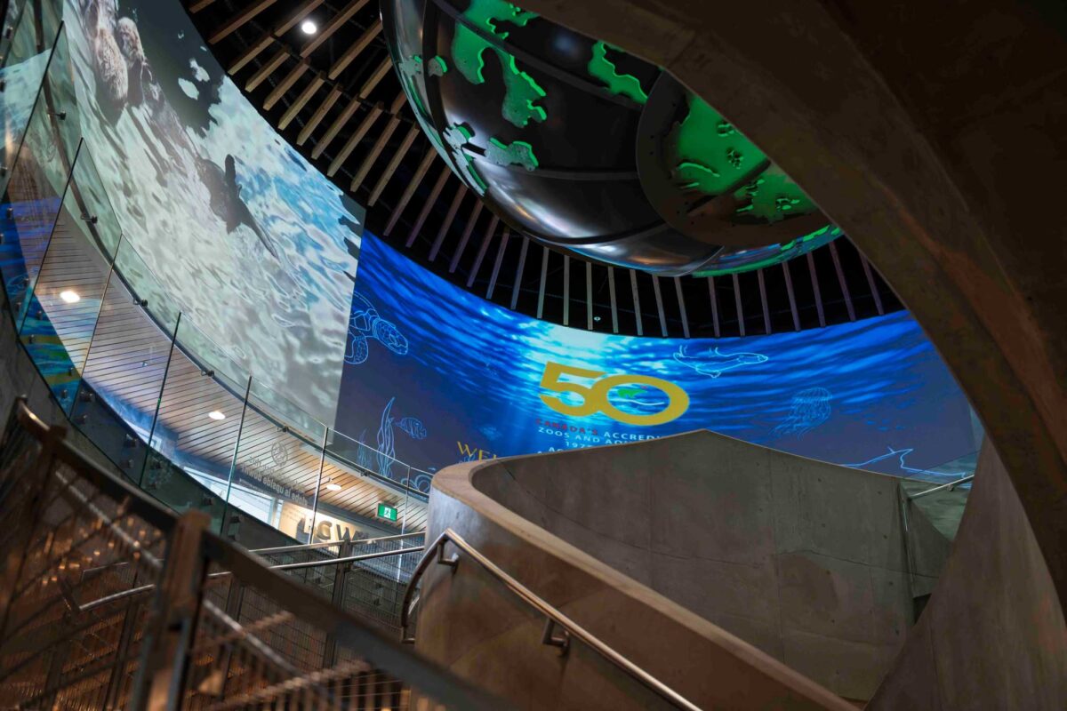The camera looks upward standing in the stairwell at the Vancouver Aquarium, a large curved screen visible with a sign for the conference for Canada's Accredited Zoos and Aquariums, as well as a video of the otters in a habitat nearby.