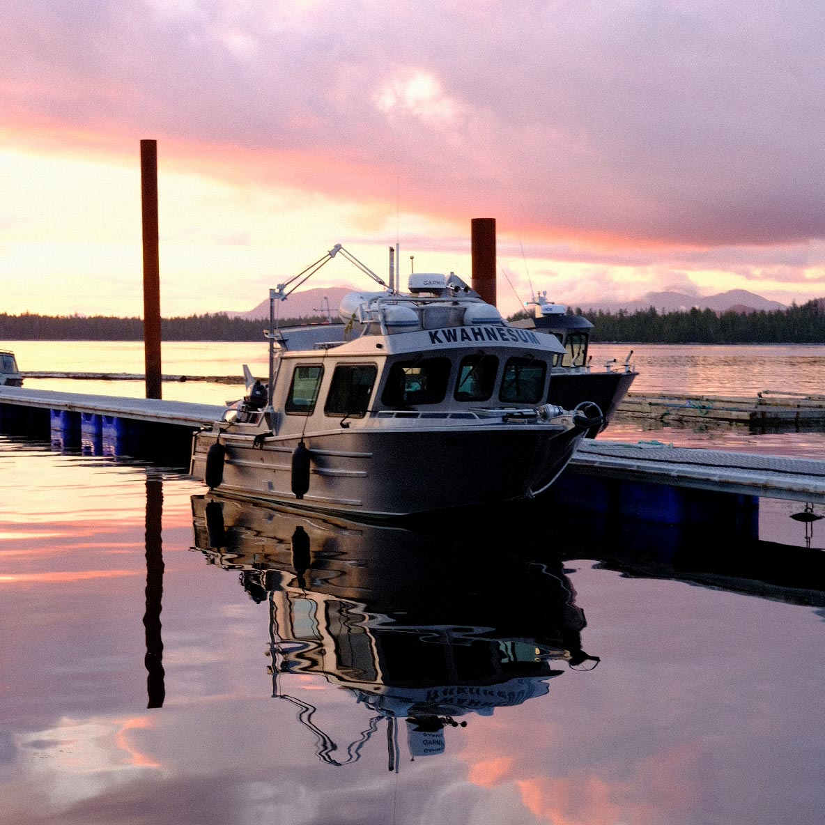 Our research vessel, Kwahnesum, at sunset, with pink and orange and mauve reflecting of the water, moored at the dock.
