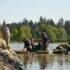 The Raincoast Wild Salmon team wades into the waters of the Fraser River Estuary to work on restoration.