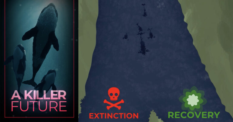 A river that forks into two branches - one has the text "extinction" and the other has the text "recovery" with killer whales swimming towards the fork.