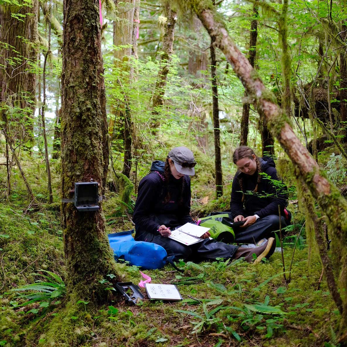 Andi Hutchinson and Johanna Griggs servicing a camera in the forest.