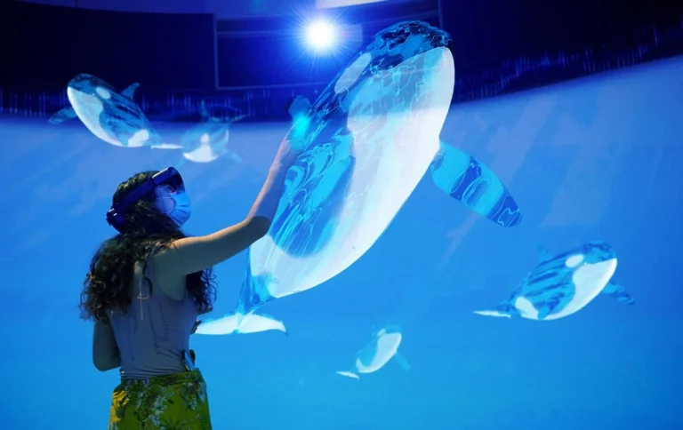 An exhibit attendee stands reaching out to a ghostly projection of a killer whale.