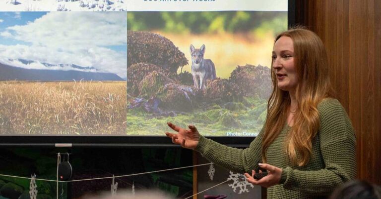 A red-haired young woman stands in front of a projector, speaking to a crowd sat listening as she speaks on wolf biology.