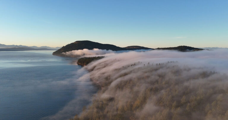 Fog rolls over the WJOŁEŁP | Tsartlip reserve at Helen Point, Mayne Island.