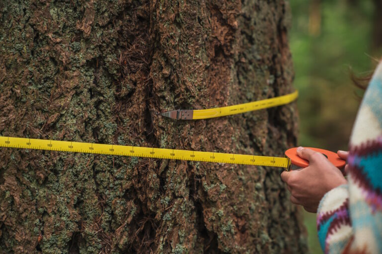 a measuring tape is wrapped around the trunk of a tree