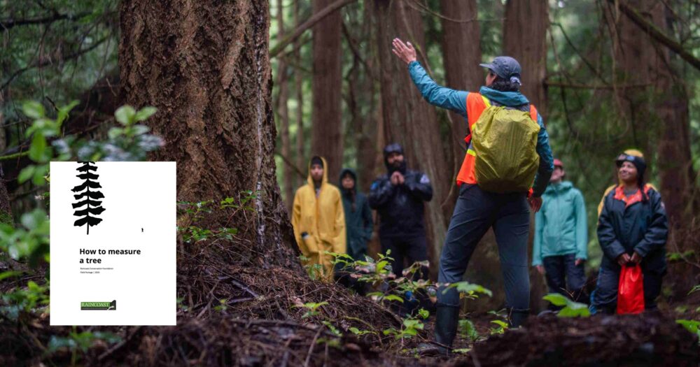 Raincoast staff talks to a group about the Douglas-fir to her left.