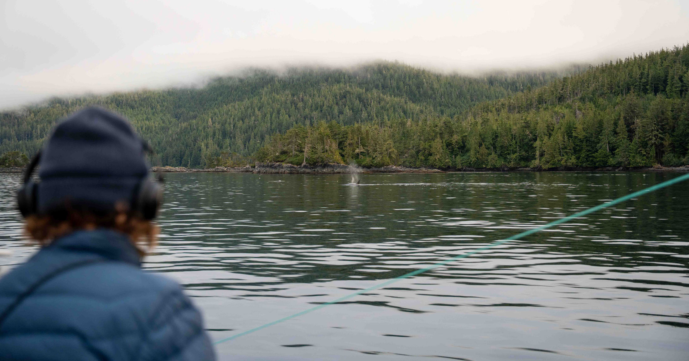 A scientist sits on board a sailboat wearing headphones, looking out to sea where a killer whale has surfaced to breathe, their breath creating a mist in the air.