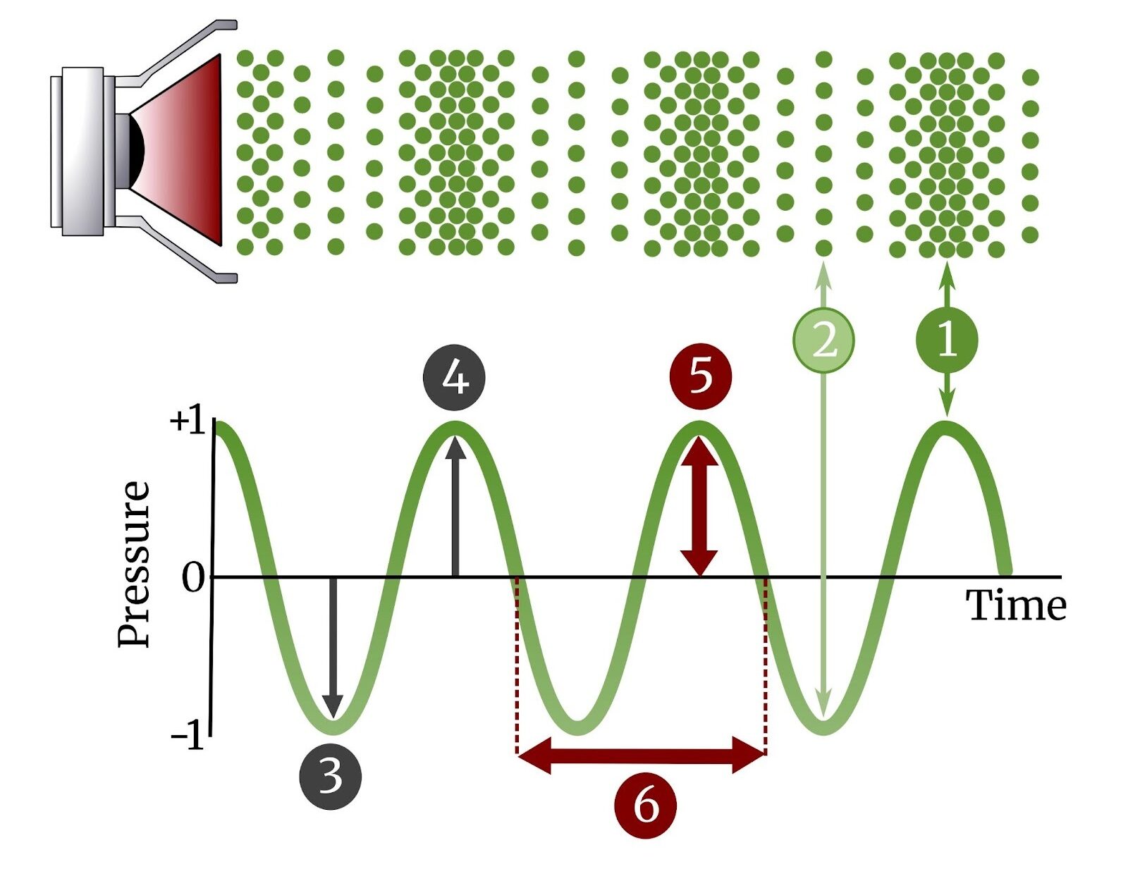 1. Compression 2. Rarefaction 3. Trough  4. Peak 5. Amplitude  6. Wavelength.