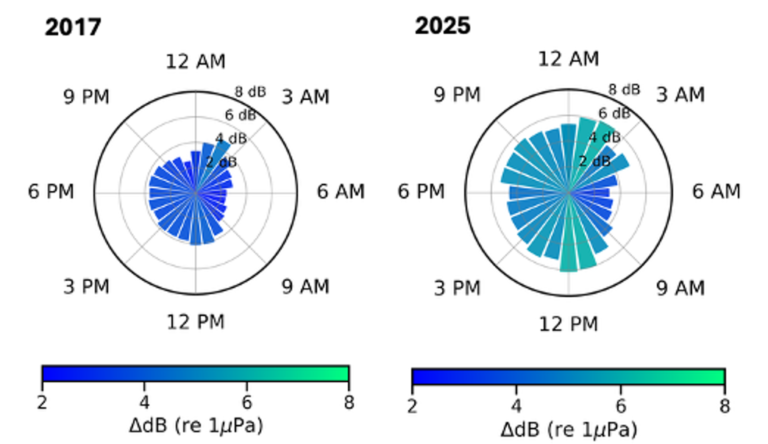How much do vessels raise background noise? These figures show the average elevation of underwater noise caused by vessel presence, measured in decibels above natural background levels, for each hour of the day, at Monarch Head, Saturna Island. The colour of each wedge reinforces the magnitude: deeper blue indicates lower excess noise, while teal and green indicate higher noise elevation.
