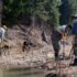 Multiple people stand along the bank of a river with sticks poking up out of the ground around them.