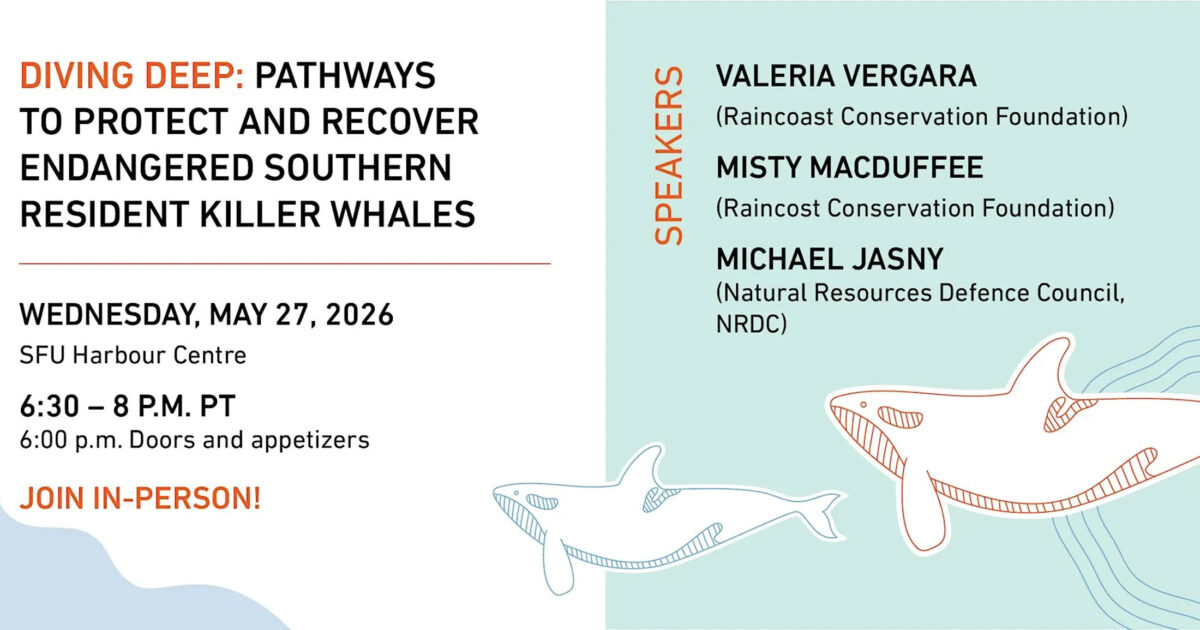 Poster that reads Diving Deep: Pathways to protect and recover endangered Southern Resident killer whales