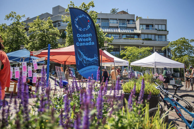Sunshine pours down in a a square, surrounded by flowers and a banner that says, "Ocean Week Canada".